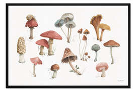 Gerahmter Kunstdruck Mushroom Medley