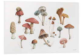 Foam board print Mushroom Medley