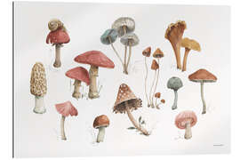 Gallery print Mushroom Medley