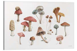 Magnettafel Mushroom Medley
