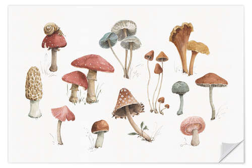 Vinilo para la pared Mushroom Medley