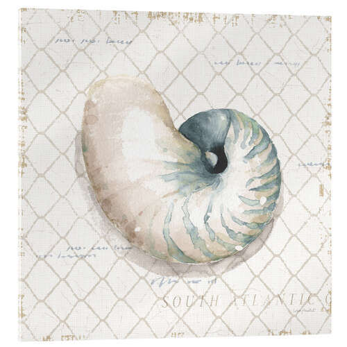 Akrylbilde Seashell in the Fishing Net