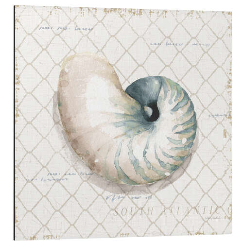 Obraz na aluminium Seashell in the Fishing Net