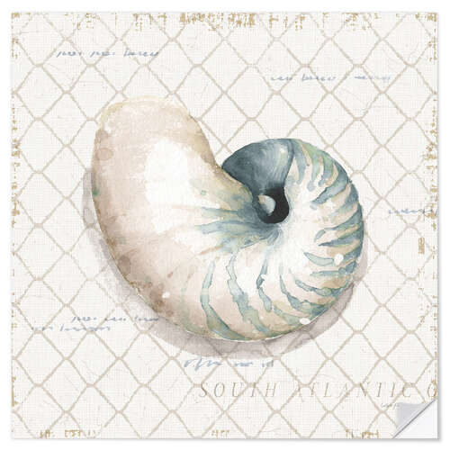 Vinilo para la pared Seashell in the Fishing Net