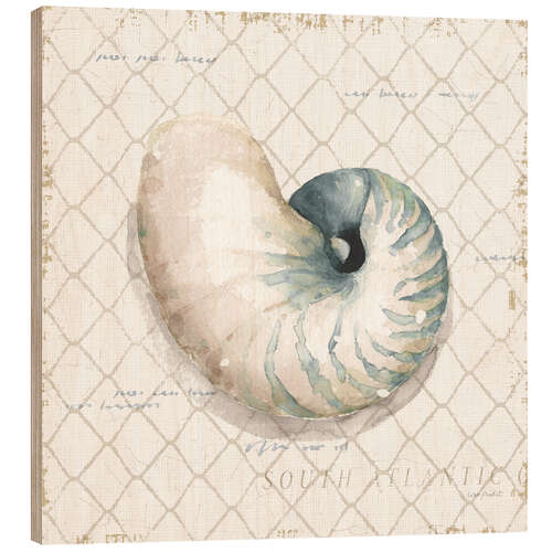 Cuadro de madera Seashell in the Fishing Net