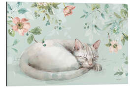 Magnettafel Schlafendes Kätzchen