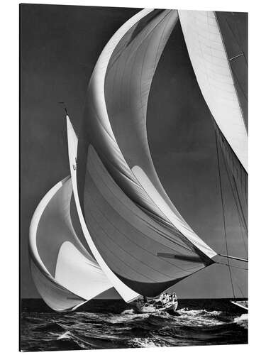 Aluminiumtavla Spinakers On Racing Sailboats, 1940