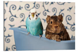 Magnettafel Wellensittich und Meerschweinchen