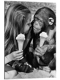 Aluminium print Girl and chimp eating ice cream