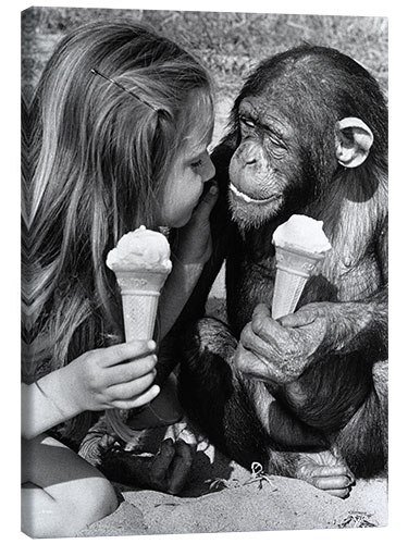 Canvastavla Girl and chimp eating ice cream