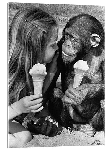 Quadro em plexi-alumínio Girl and chimp eating ice cream