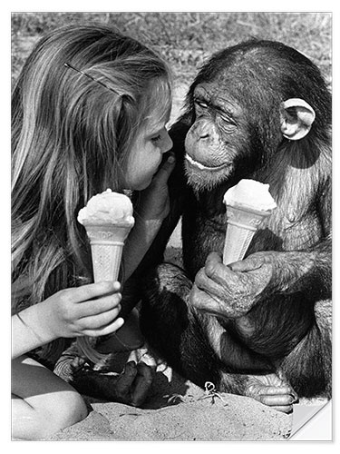 Sticker mural Girl and chimp eating ice cream