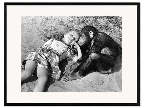 Impression artistique encadrée You and Me - Girl and Chimp