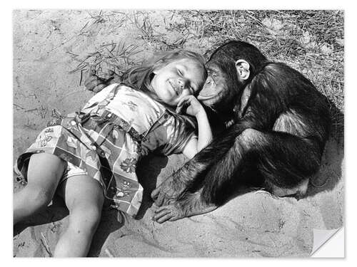 Selvklebende plakat You and Me - Girl and Chimp