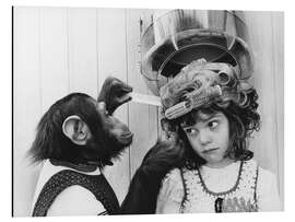 Magnettafel Eine Frisur vom Fachmann