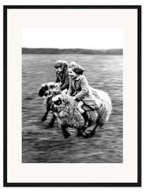 Gerahmter Kunstdruck Wettrennen auf Schafen