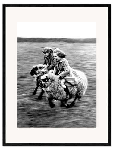 Impression artistique encadrée Racing on Sheep