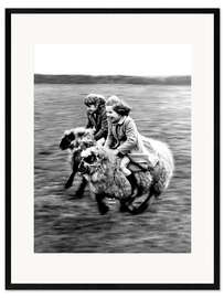 Framed art print Racing on Sheep