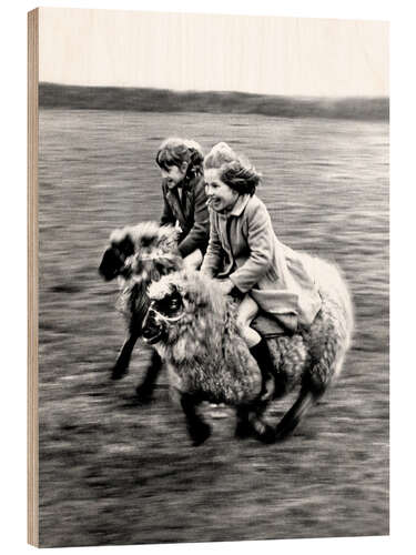 Wood print Racing on Sheep