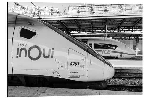 Obraz na aluminium French TGV and German ICE