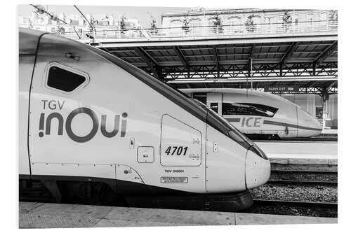 Tableau en PVC French TGV and German ICE