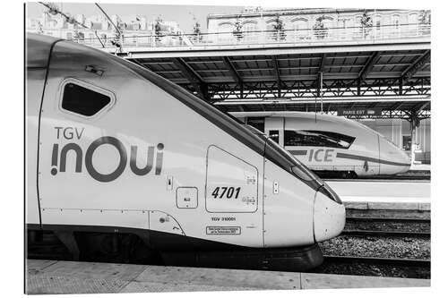 Galleritryk French TGV and German ICE