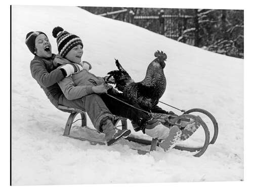 Tableau en aluminium Happy Sleigh Ride With Rooster, 1970s