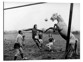 Obraz na aluminium Football Match With Man and Horse