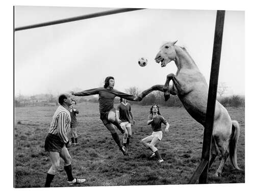 Gallery Print Fußballspiel mit Mann und Pferd