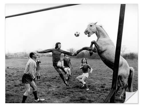 Naklejka na ścianę Football Match With Man and Horse