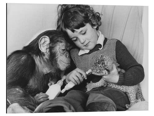 Aluminiumtavla Girl With Chimpanzee and Baby Leopard