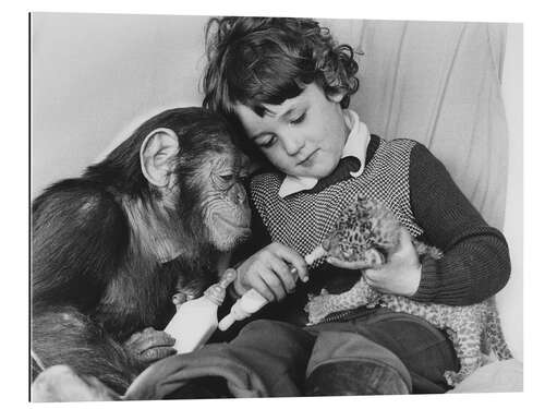 Galleriprint Girl With Chimpanzee and Baby Leopard