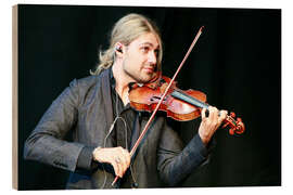 Holzbild Stargeiger David Garrett