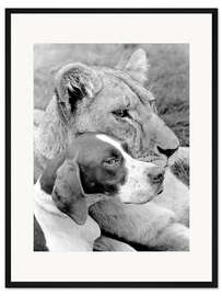 Gerahmter Kunstdruck Tierische Kumpels