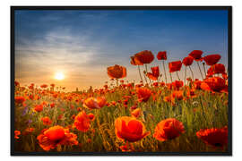 Gerahmter Kunstdruck Mohnfeld bei Sonnenuntergang I
