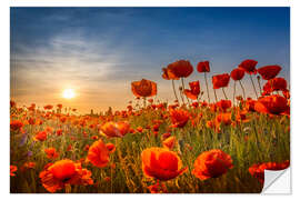 Selvklæbende plakat Poppy Field at Sunset I