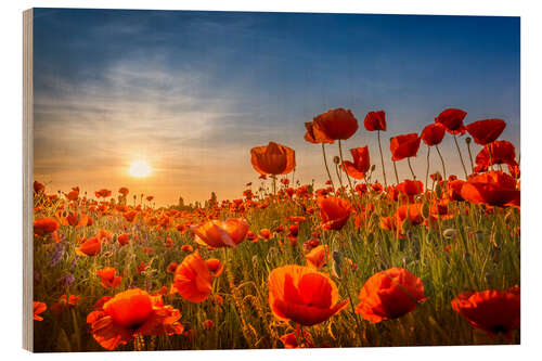 Trätavla Poppy Field at Sunset I