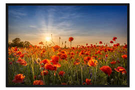 Gerahmter Kunstdruck Mohnfeld bei Sonnenuntergang II