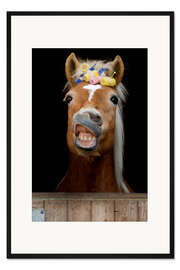 Gerahmter Kunstdruck Schicke Haflinger Stute mit Lockenwickler