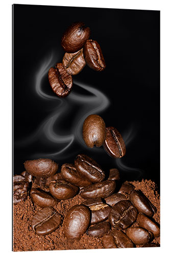 Quadro em plexi-alumínio Coffee Beans (Coffea arabica)