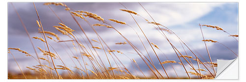 Vinilo para la pared Ears of Wheat in the Wind