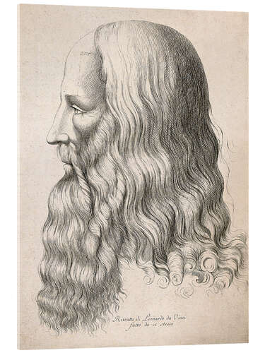 Acrylic print Drawing of Leonardo da Vinci