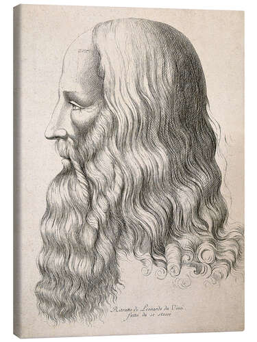 Lærredsbillede Drawing of Leonardo da Vinci