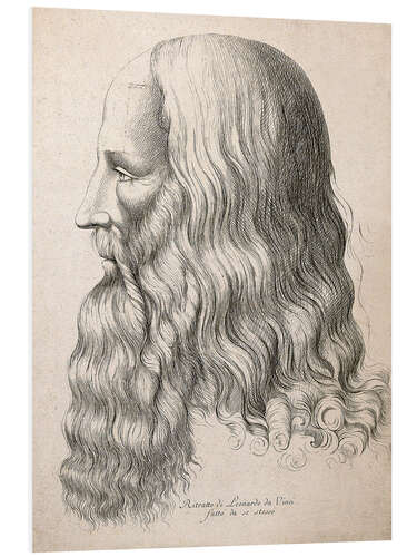 Foam board print Drawing of Leonardo da Vinci