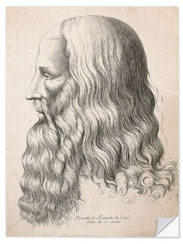 Wall sticker Drawing of Leonardo da Vinci