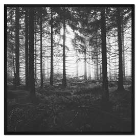 Gerahmter Kunstdruck Wandern durch den Geisterwald
