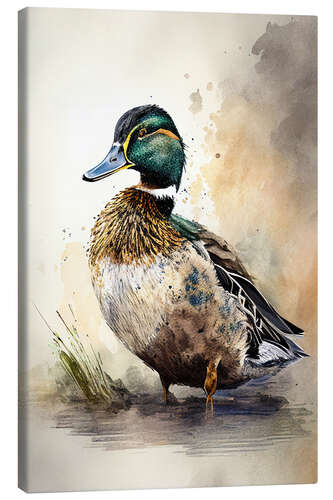 Tableau sur toile Cute Mallard in Watercolor