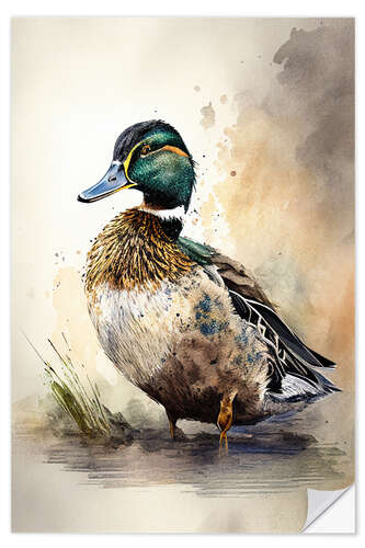 Muursticker Cute Mallard in Watercolor