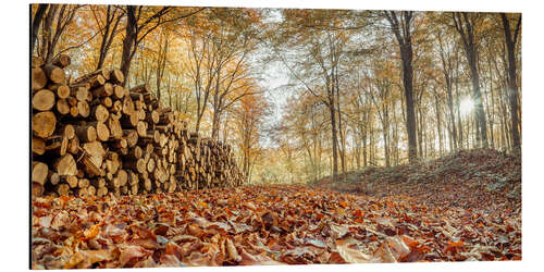 Tableau en aluminium Log pile in the autumn forest