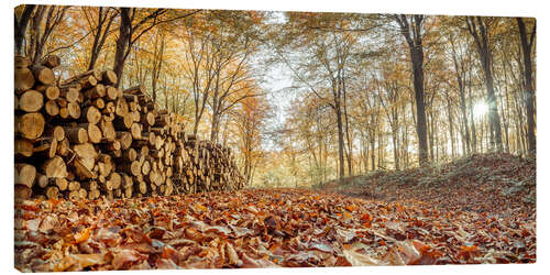 Canvas print Log pile in the autumn forest